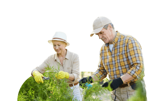 Elderly Couple in Hats Pruning Plants Together at an Independent Living Community Elderly Couple in Hats Pruning Plants Together at an Independent Living Community